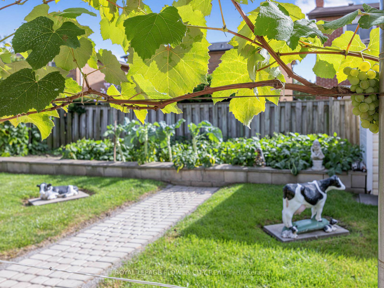 Photo 38 of 247 Vodden Street W, Brampton, Brampton West — HOMEH