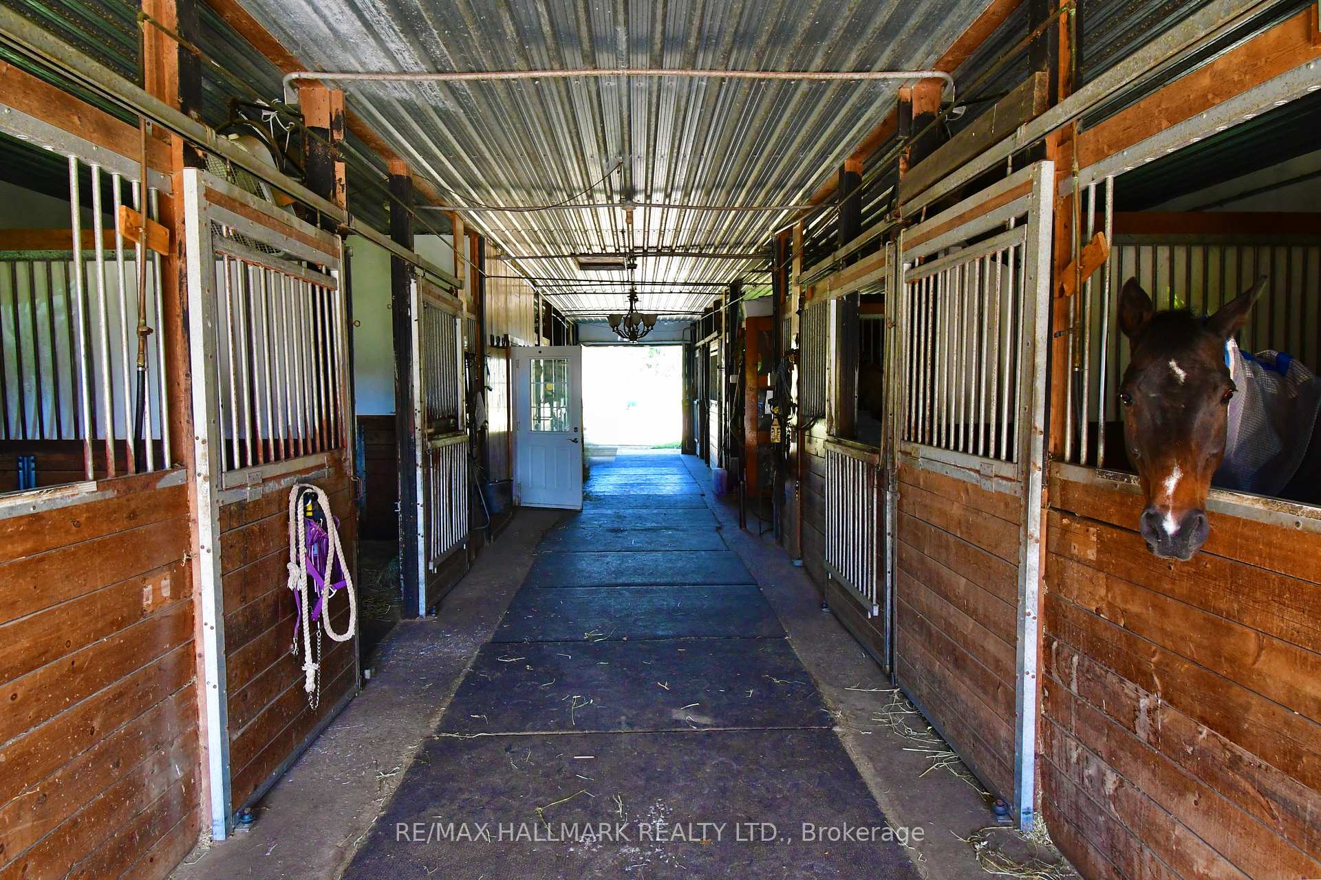 Photo 27 of 18555 Highway 12, Scugog, Rural Scugog — HOMEH