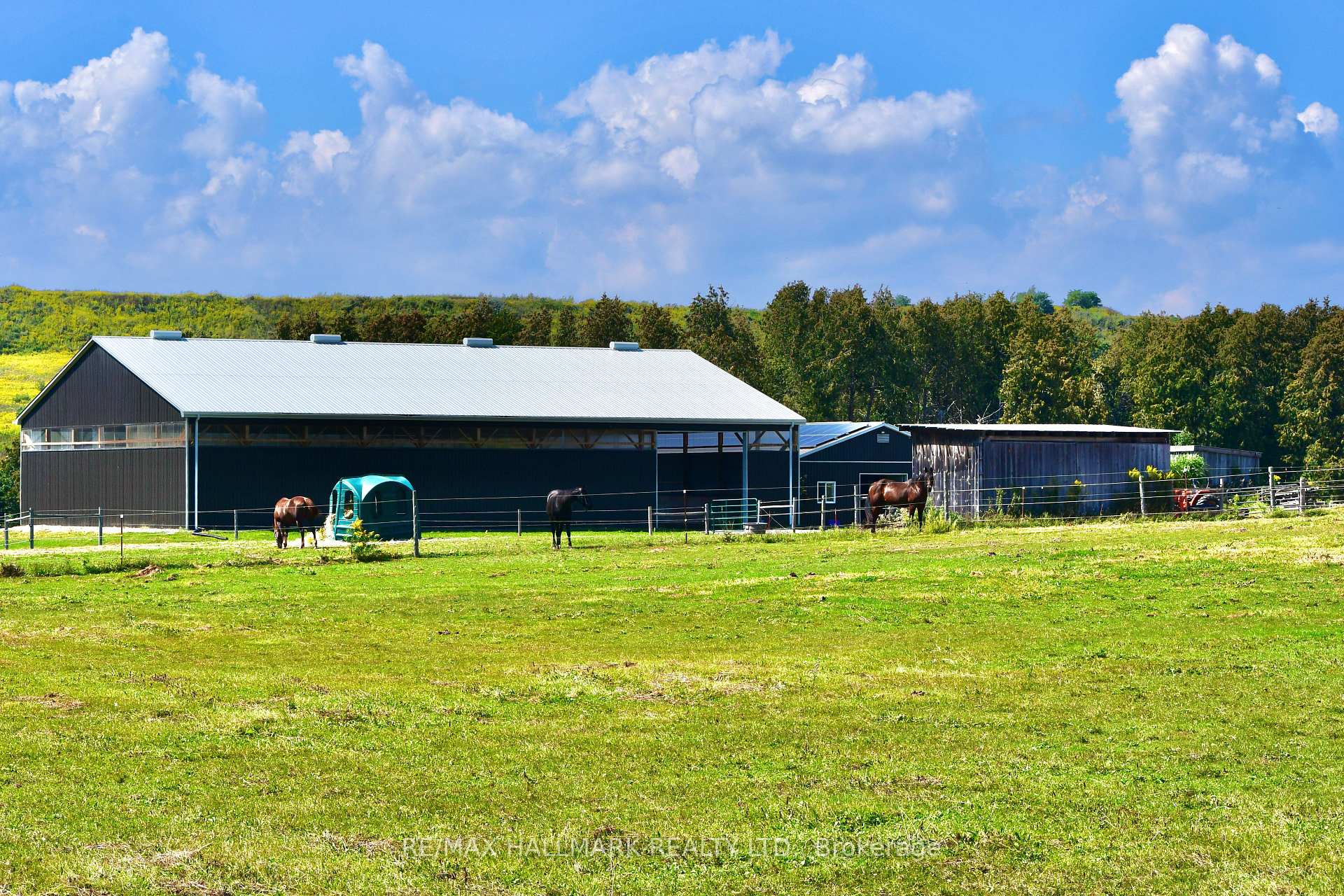 Photo 35 of 18555 Highway 12, Scugog, Rural Scugog — HOMEH