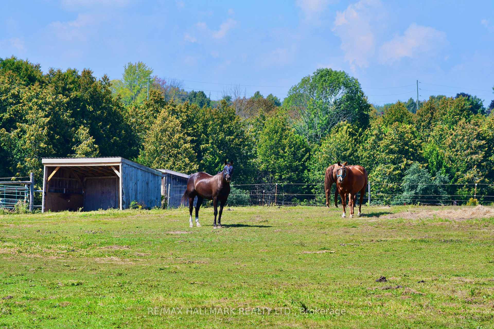 Photo 37 of 18555 Highway 12, Scugog, Rural Scugog — HOMEH