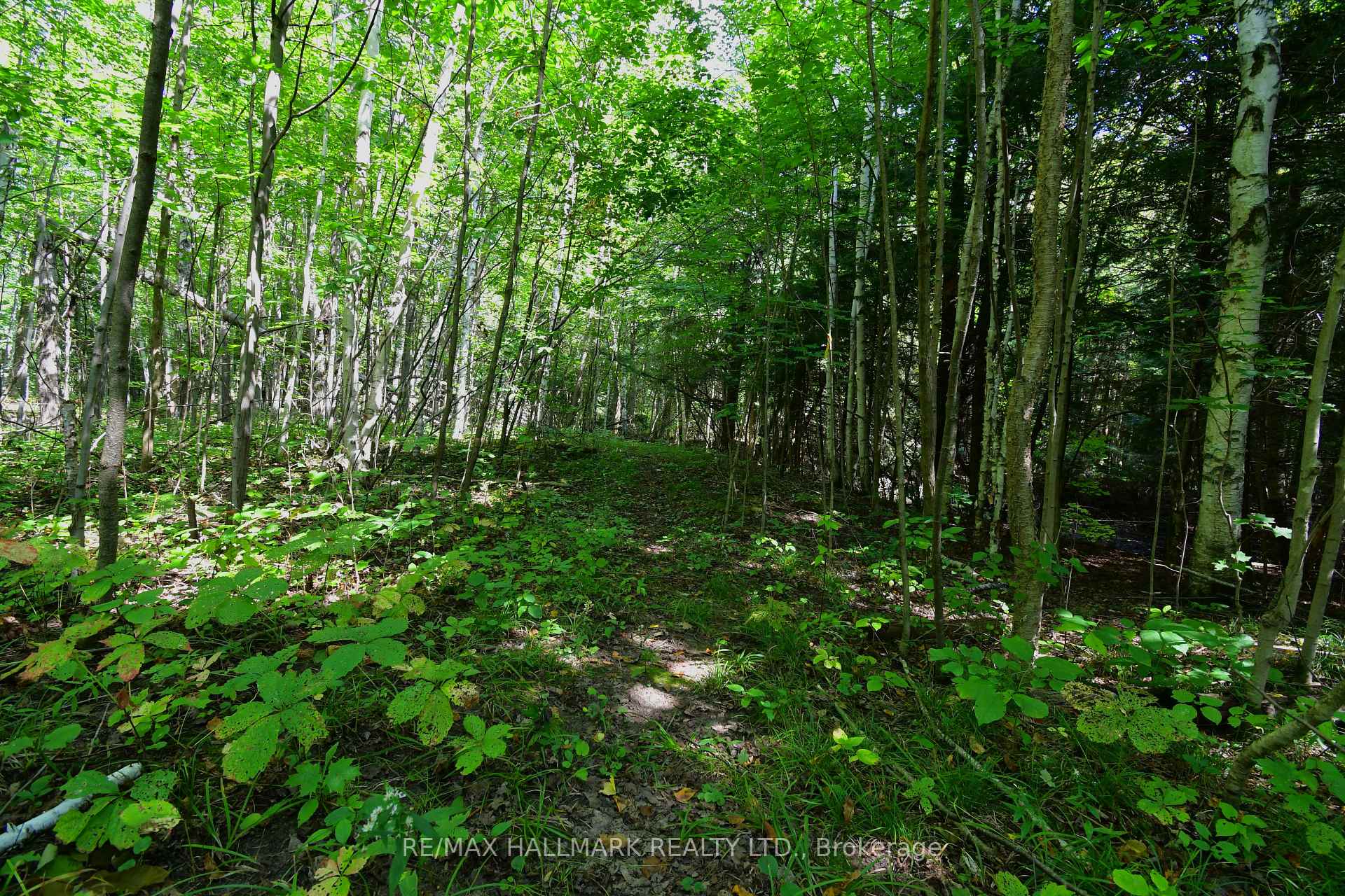 Photo 38 of 18555 Highway 12, Scugog, Rural Scugog — HOMEH