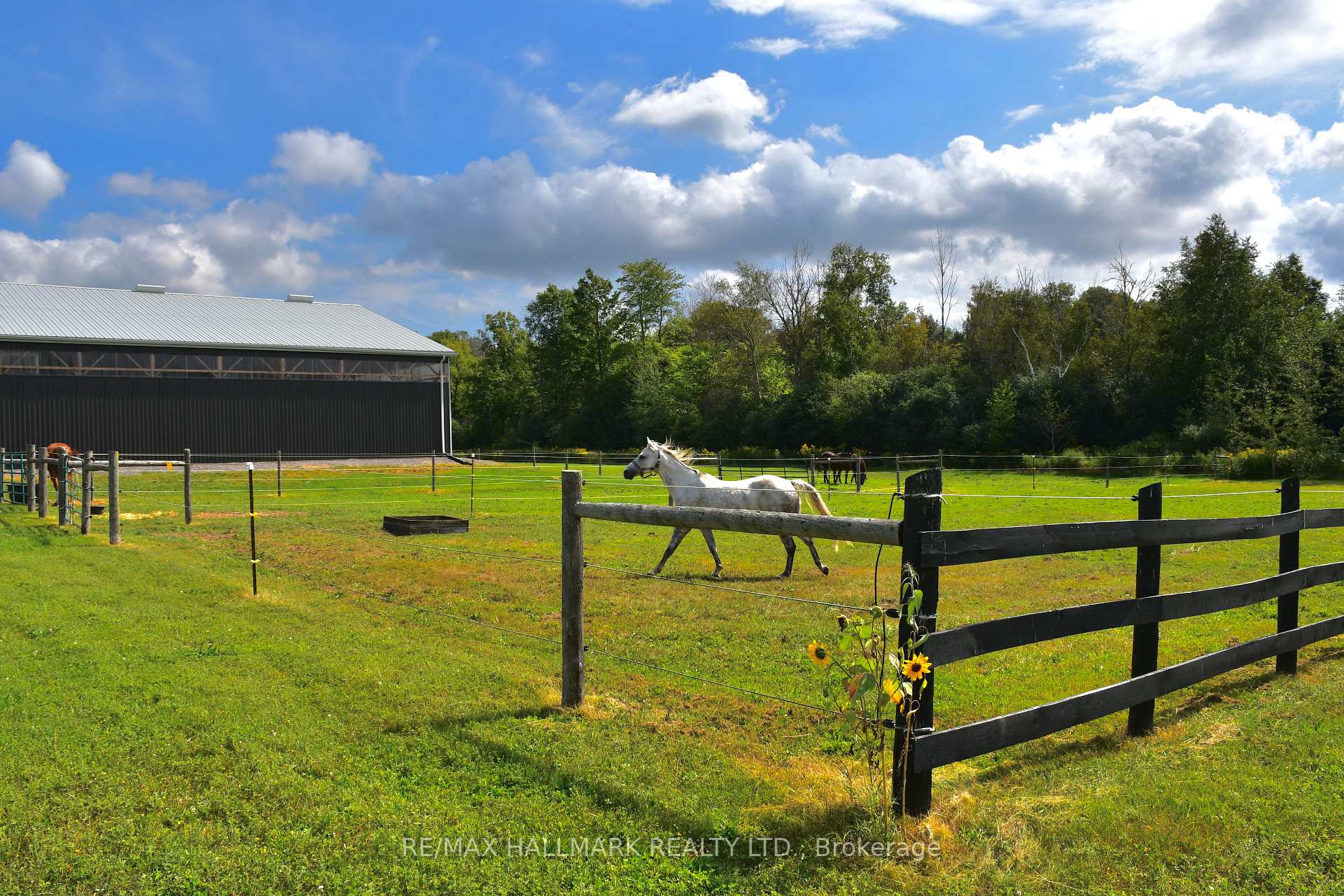 Photo 45 of 18555 Highway 12, Scugog, Rural Scugog — HOMEH