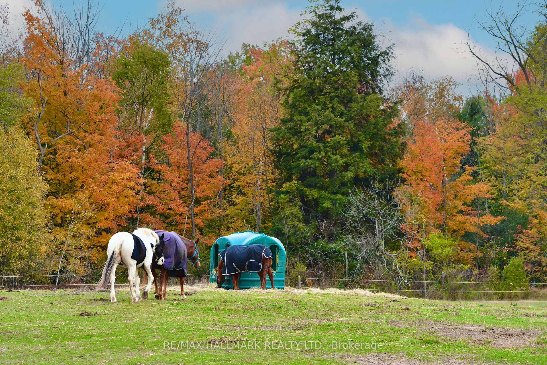 Photo 47 of 18555 Highway 12, Scugog, Rural Scugog — HOMEH