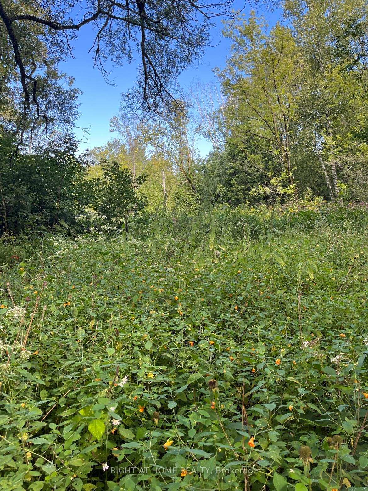 Photo 4 of 5218 Hillview Drive, Hamilton Township, Rural Hamilton — HOMEH
