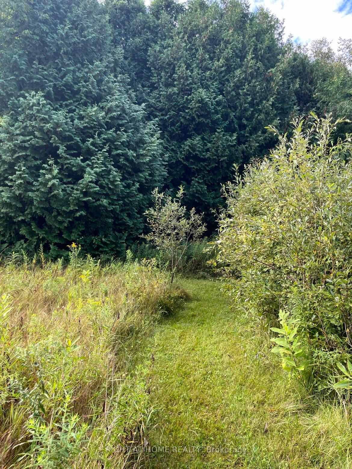 Photo 5 of 5218 Hillview Drive, Hamilton Township, Rural Hamilton — HOMEH