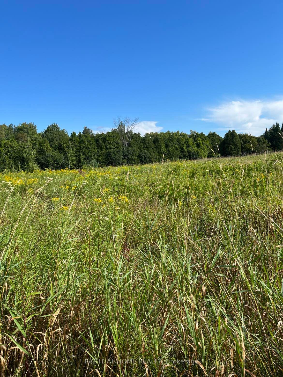 Photo 7 of 5218 Hillview Drive, Hamilton Township, Rural Hamilton — HOMEH