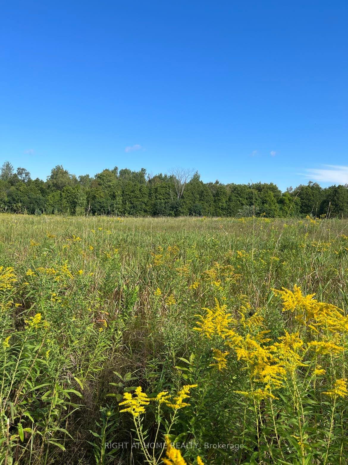 Photo 8 of 5218 Hillview Drive, Hamilton Township, Rural Hamilton — HOMEH