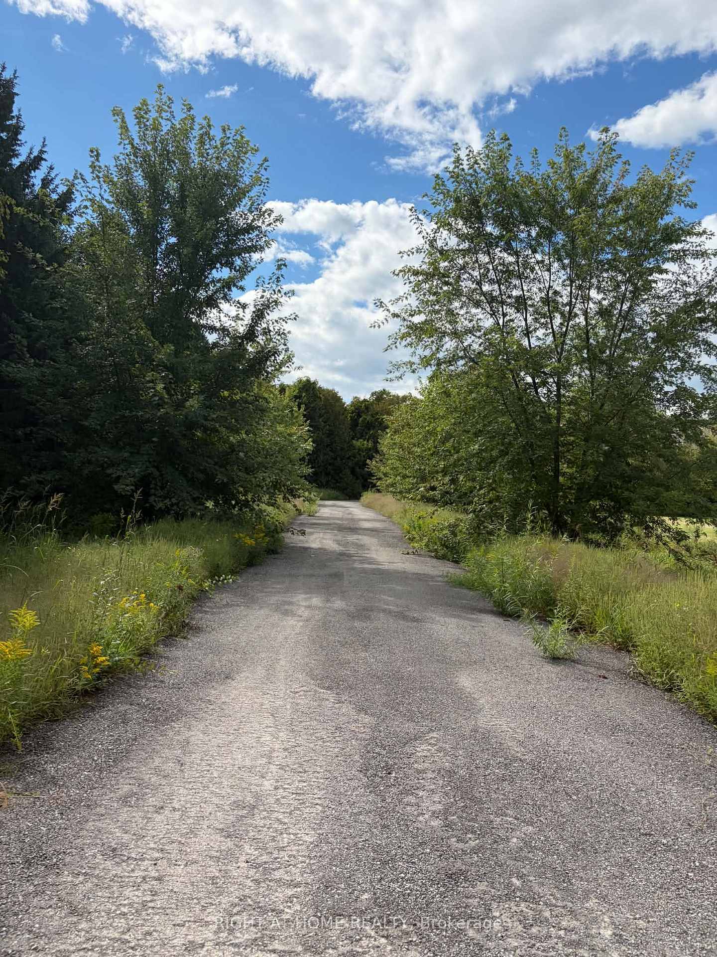 Photo 16 of 5218 Hillview Drive, Hamilton Township, Rural Hamilton — HOMEH