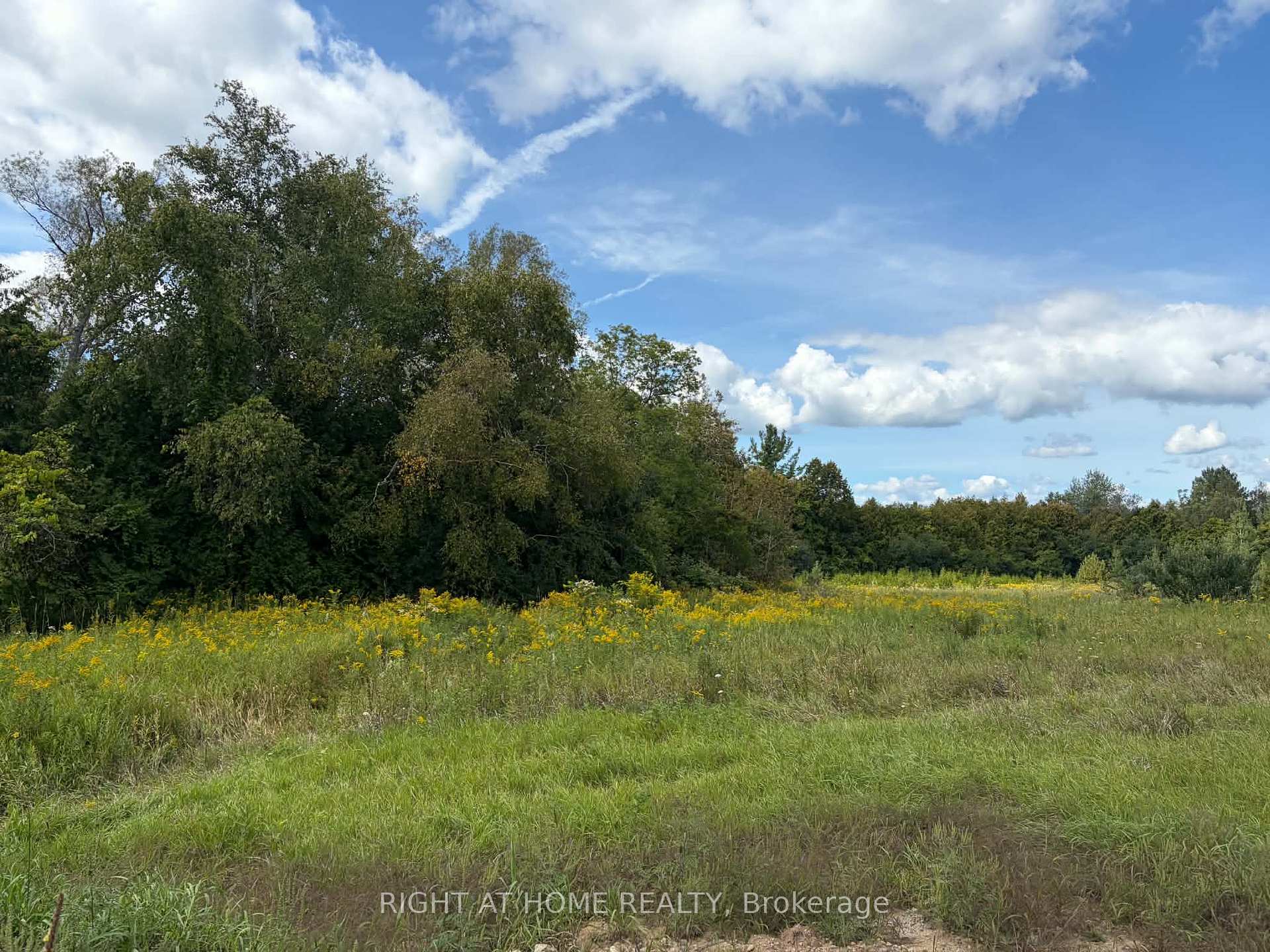 Photo 17 of 5218 Hillview Drive, Hamilton Township, Rural Hamilton — HOMEH