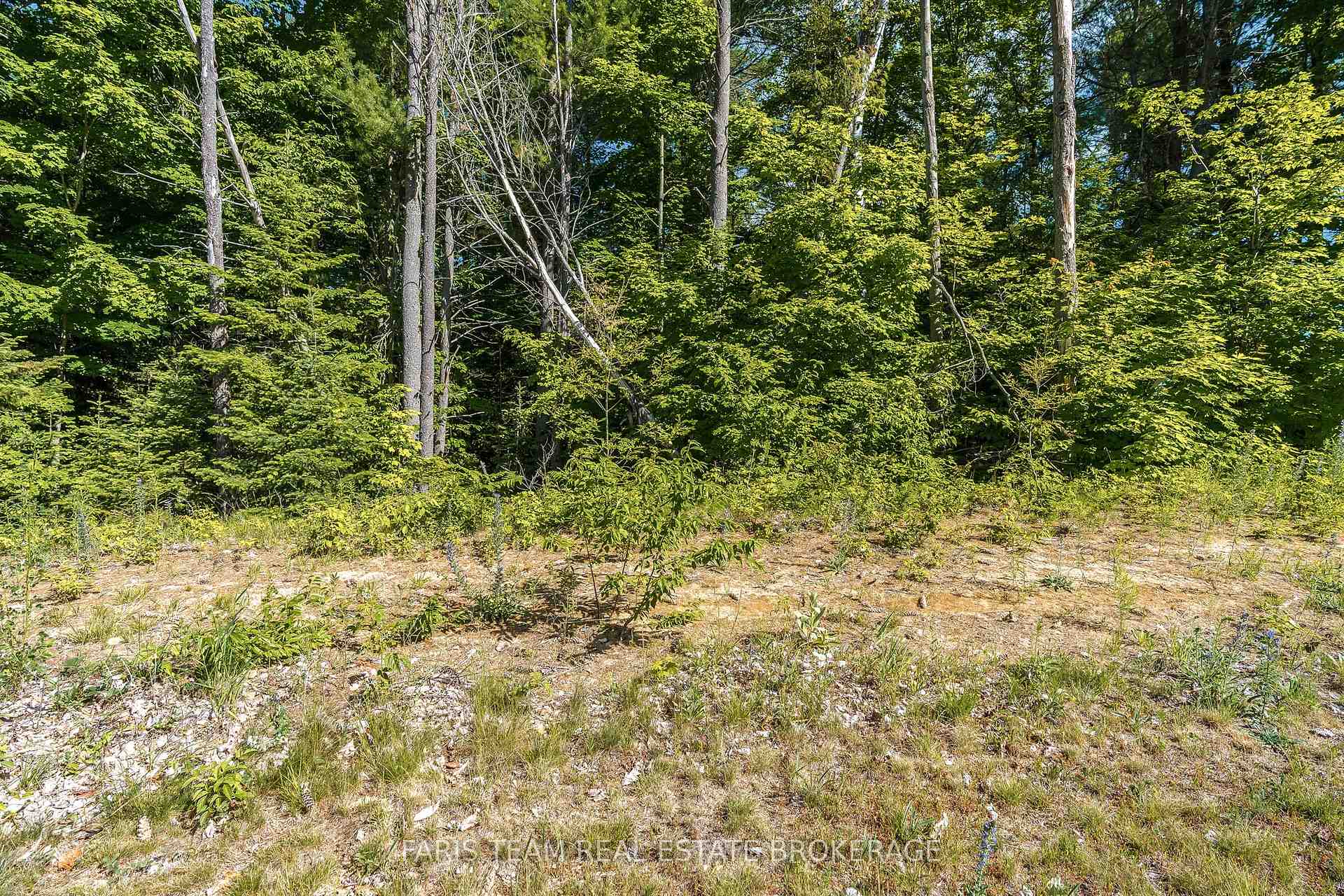 Photo 8 of 37 Marni Lane, Springwater, Rural Springwater — HOMEH