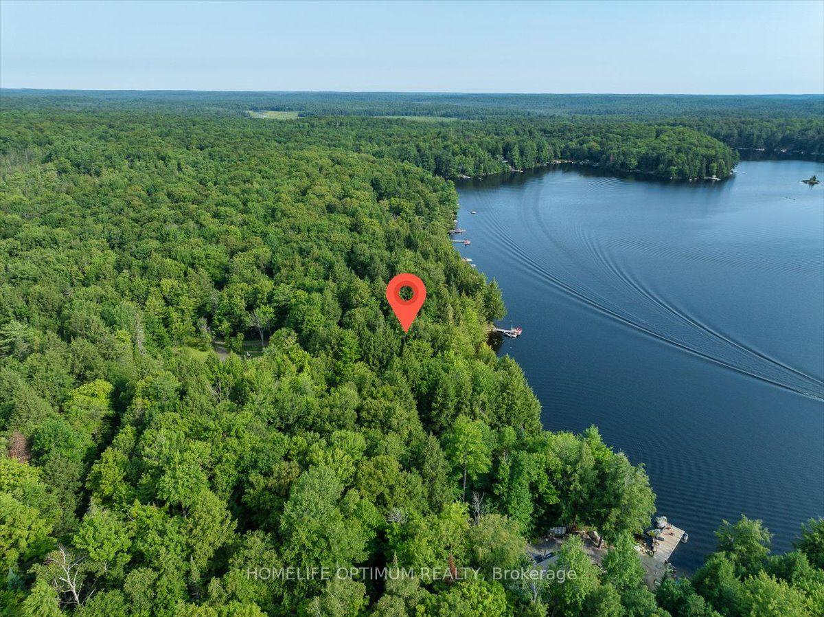 Photo 11 of 1195 Lakeshore Drive N, Bracebridge, Oakley — HOMEH