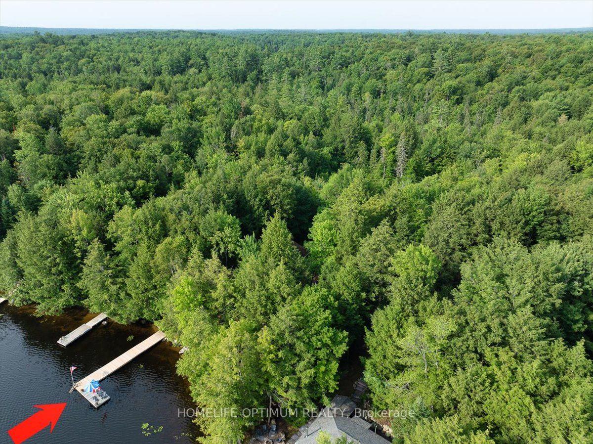 Photo 13 of 1195 Lakeshore Drive N, Bracebridge, Oakley — HOMEH