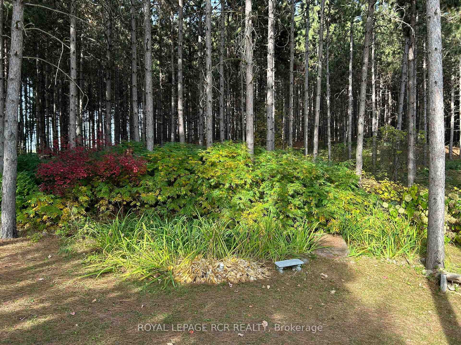 Photo 30 of 708321 County Rd 21, Mulmur, Rural Mulmur — HOMEH