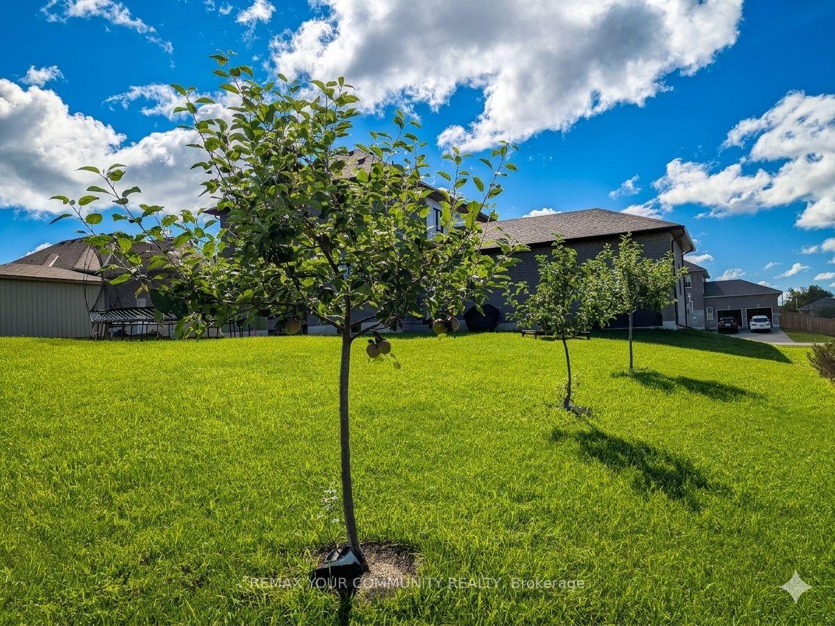 Photo 30 of 14 McCrae Crescent, Kawartha Lakes, Woodville — HOMEH