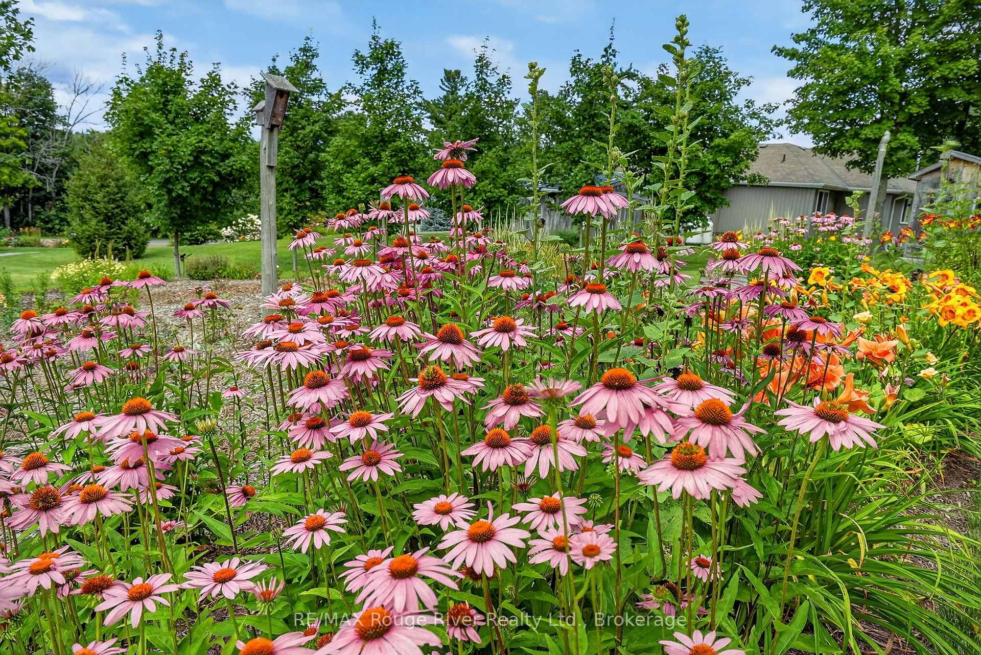 Photo 37 of 9285 Turk Road, Hamilton Township, Rural Hamilton — HOMEH
