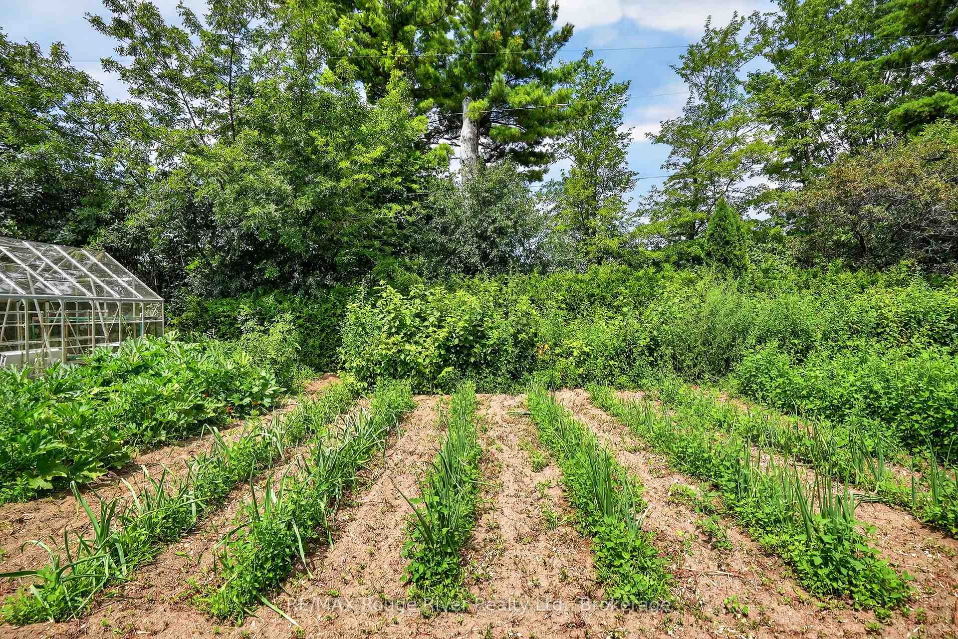Photo 40 of 9285 Turk Road, Hamilton Township, Rural Hamilton — HOMEH