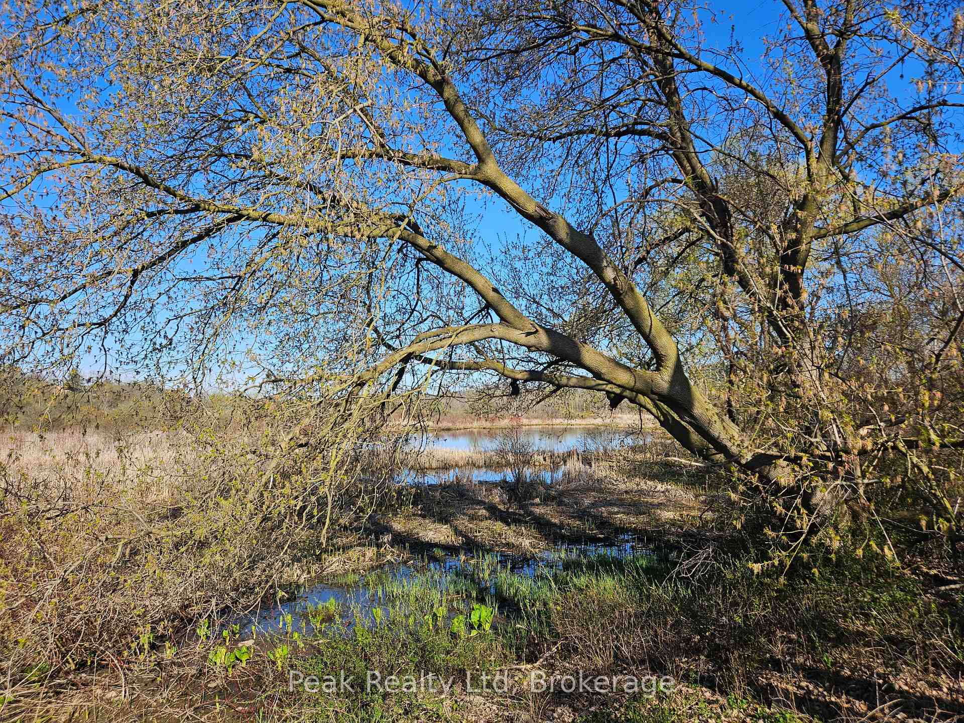 Photo 15 of 122 Keats Drive, Woodstock, Woodstock - South — HOMEH
