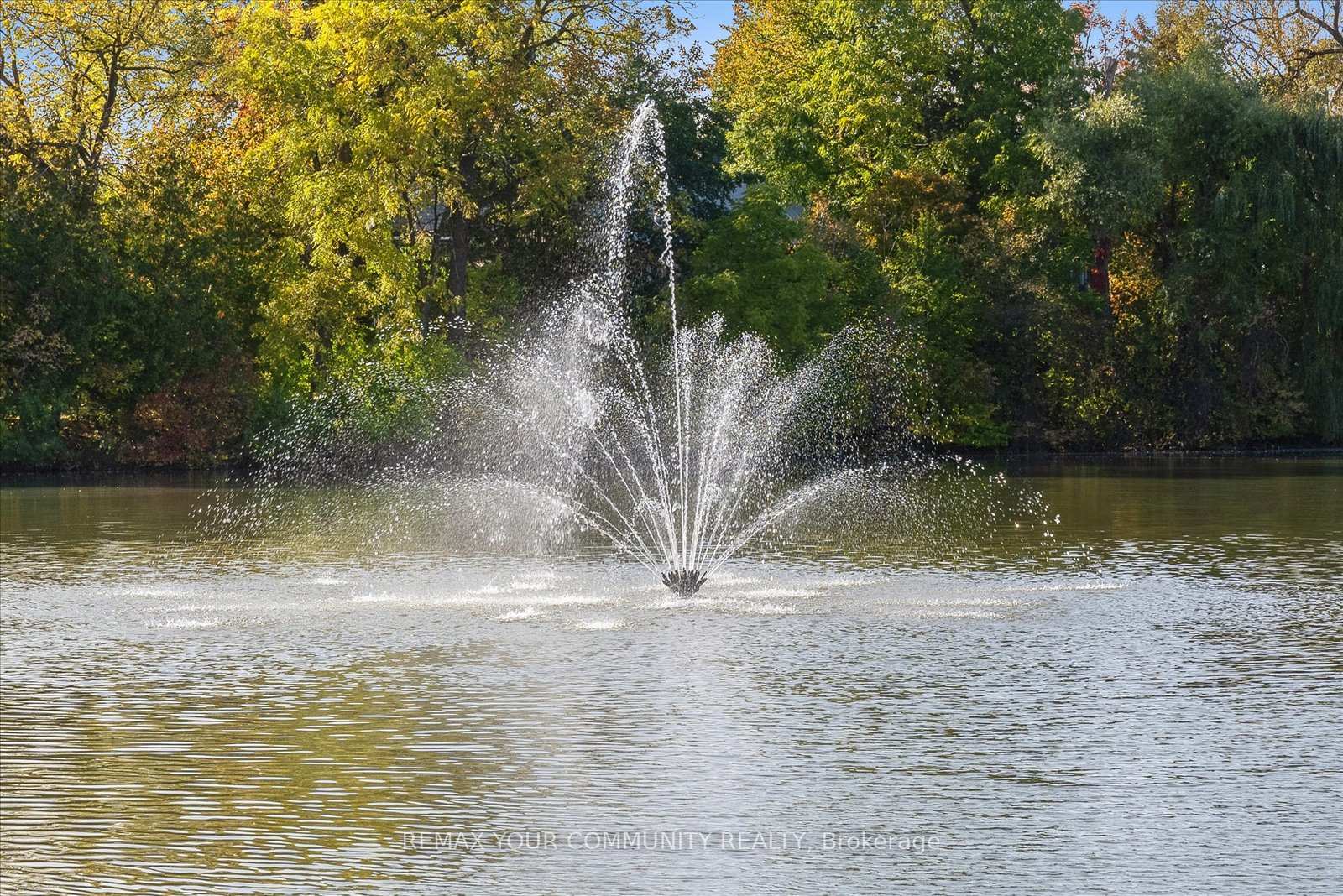 Photo 38 of 238 Mill Street, Richmond Hill, Mill Pond — HOMEH