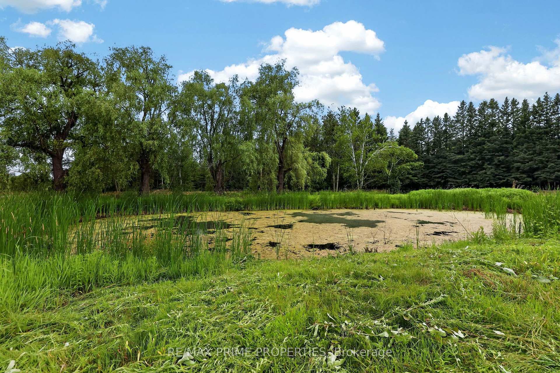 Photo 42 of 8538 Old Shiloh Road, Georgina, Baldwin — HOMEH