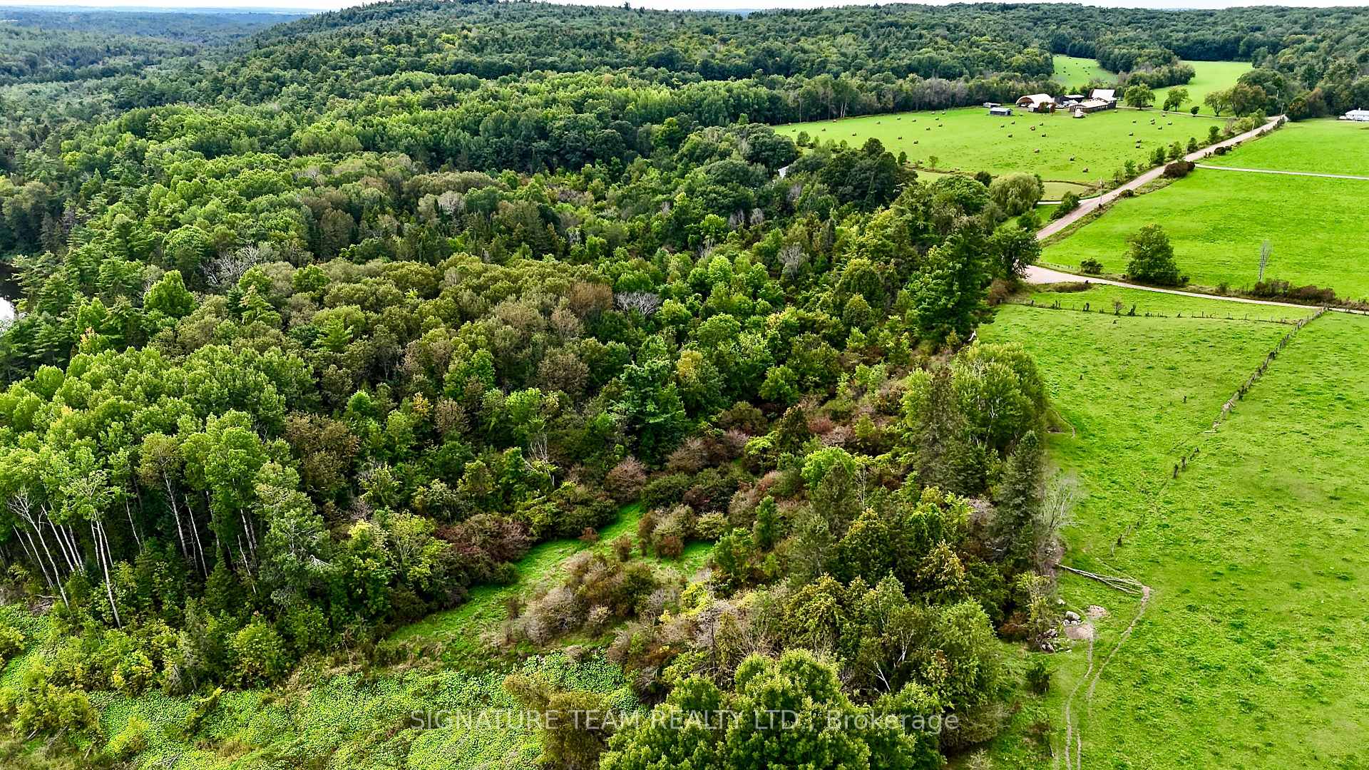 Photo 15 of 413 Ferguson Road, Horton, Horton Twp — HOMEH