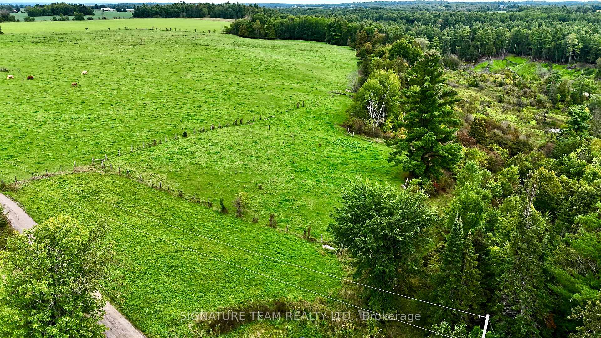 Photo 17 of 413 Ferguson Road, Horton, Horton Twp — HOMEH