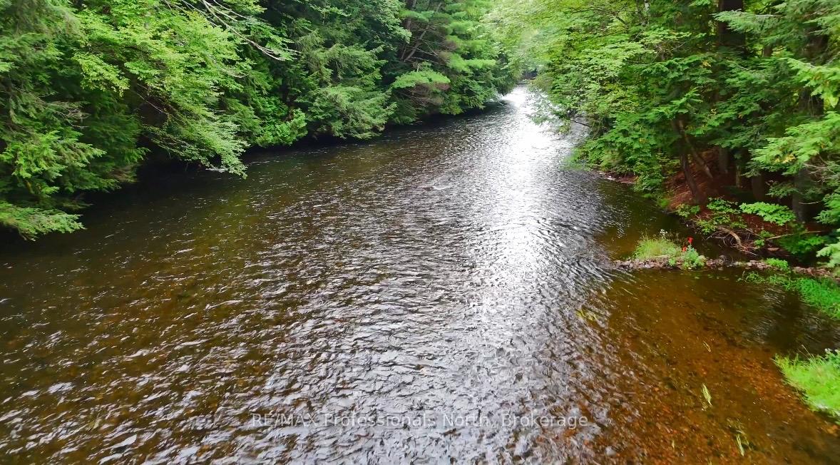 Photo 9 of 1211 Hawk Valley Road, Algonquin Highlands, Stanhope — HOMEH