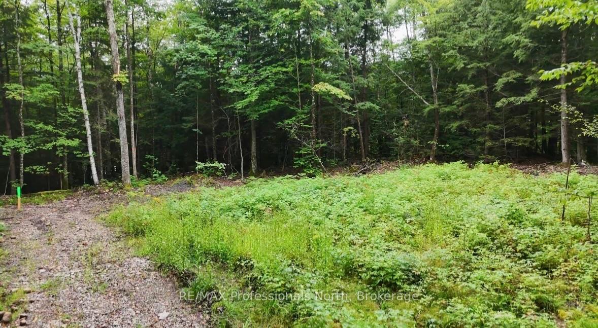 Photo 10 of 1211 Hawk Valley Road, Algonquin Highlands, Stanhope — HOMEH