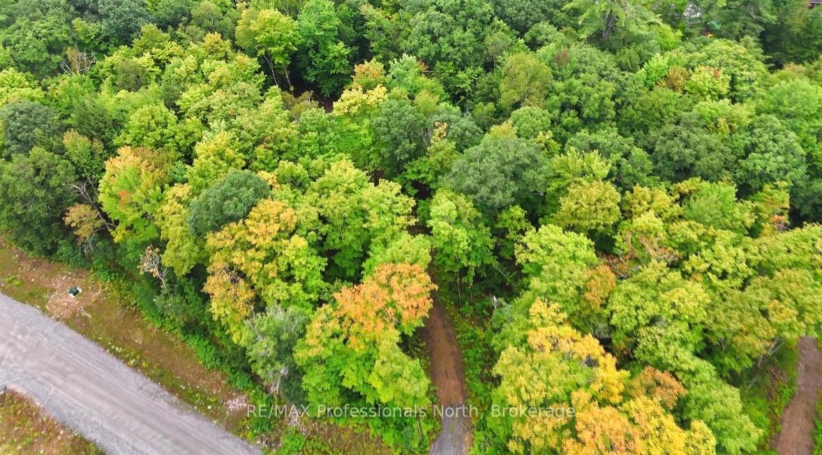 Photo 11 of 1211 Hawk Valley Road, Algonquin Highlands, Stanhope — HOMEH