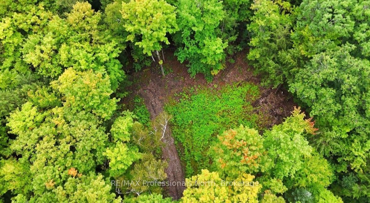 Photo 12 of 1211 Hawk Valley Road, Algonquin Highlands, Stanhope — HOMEH