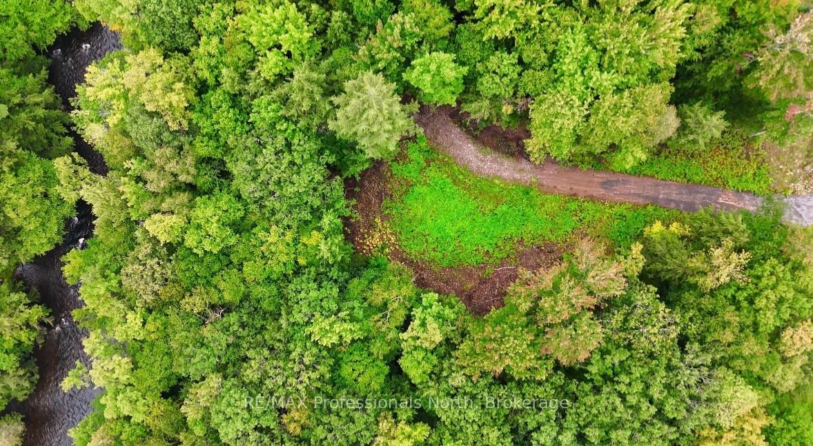 Photo of 1247 Hawk Valley Road