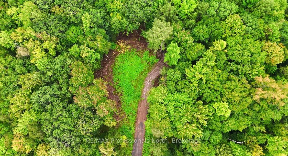 Photo 2 of 1247 Hawk Valley Road, Algonquin Highlands, Stanhope — HOMEH