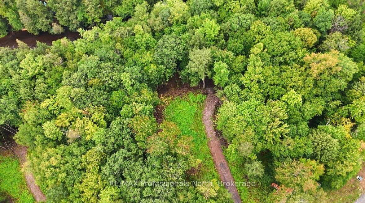 Photo 3 of 1247 Hawk Valley Road, Algonquin Highlands, Stanhope — HOMEH