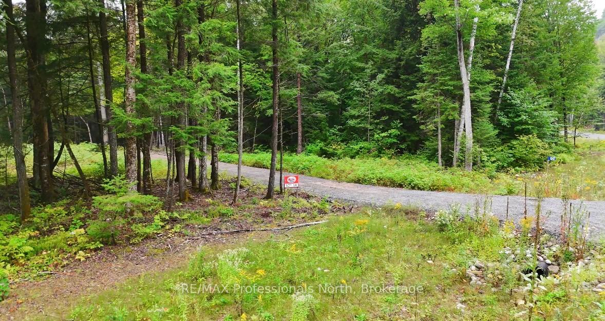 Photo 6 of 1247 Hawk Valley Road, Algonquin Highlands, Stanhope — HOMEH