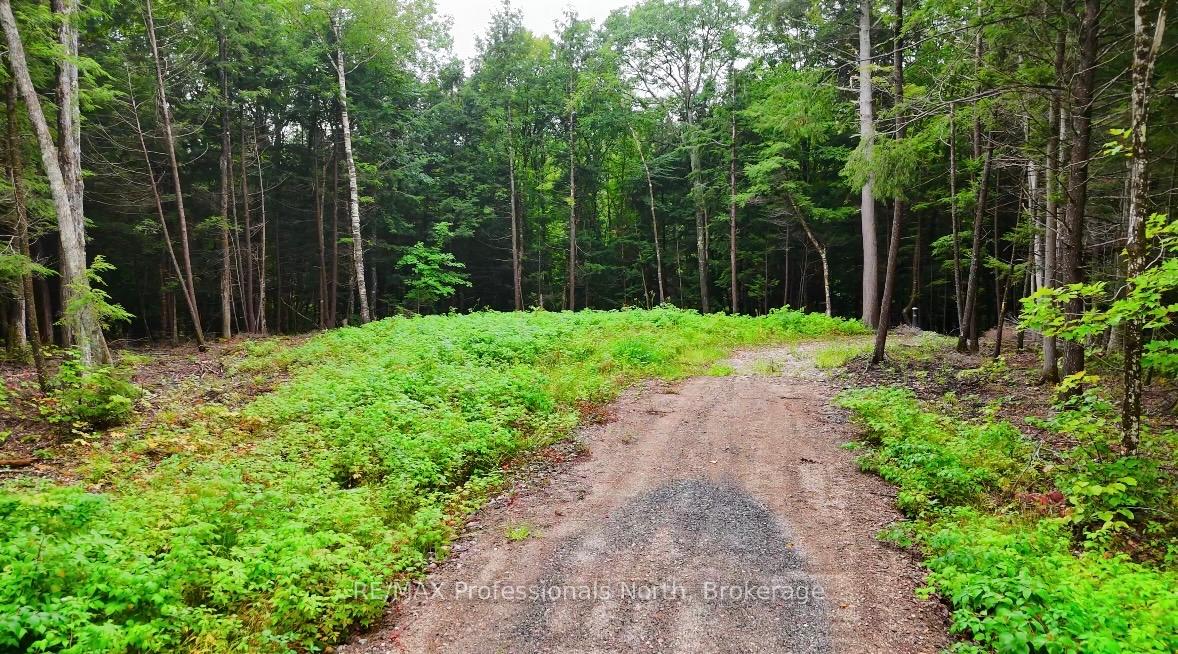 Photo 7 of 1247 Hawk Valley Road, Algonquin Highlands, Stanhope — HOMEH