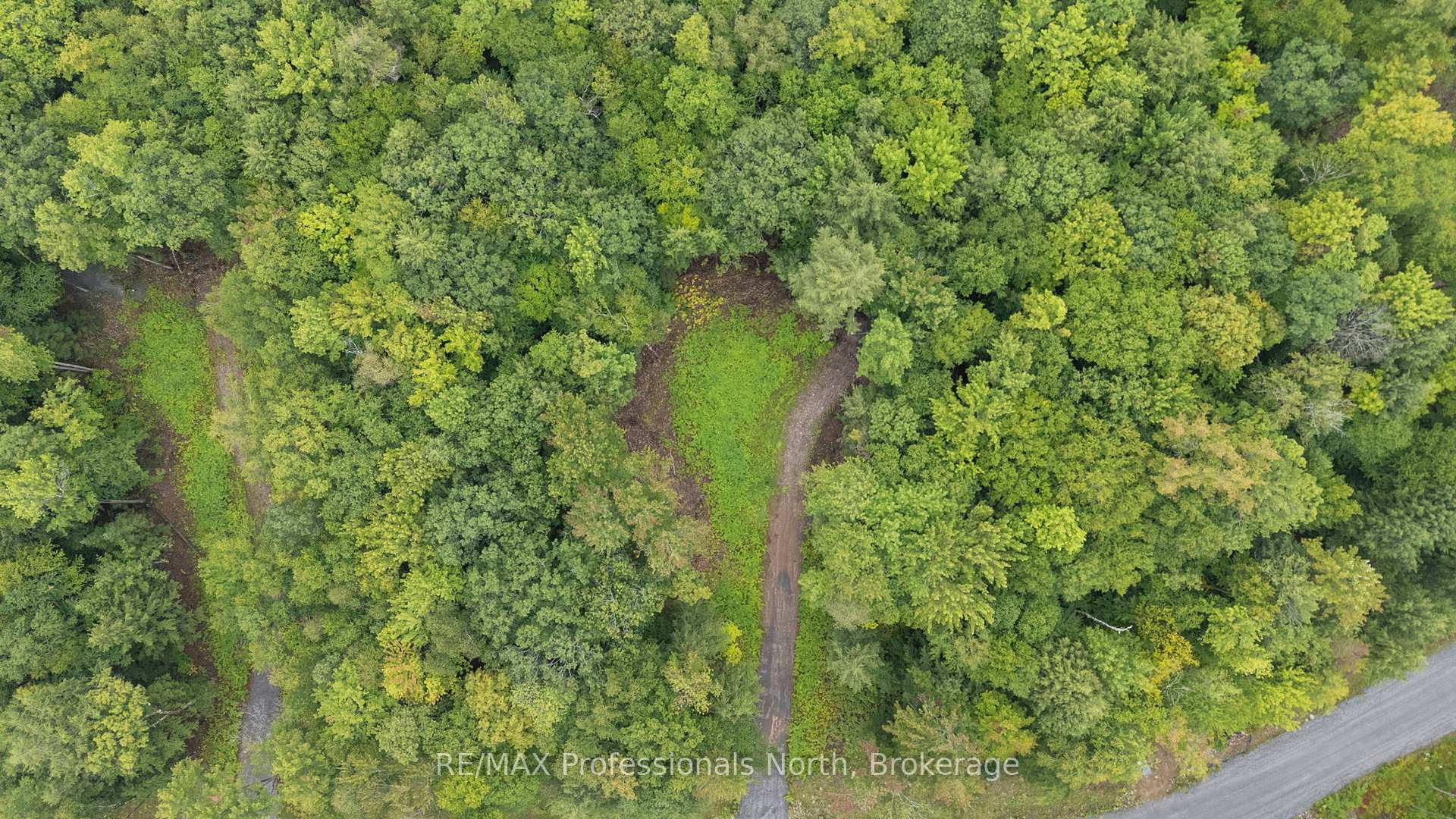 Photo 8 of 1247 Hawk Valley Road, Algonquin Highlands, Stanhope — HOMEH