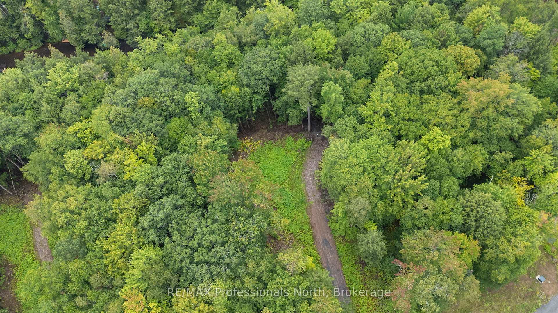 Photo 9 of 1247 Hawk Valley Road, Algonquin Highlands, Stanhope — HOMEH