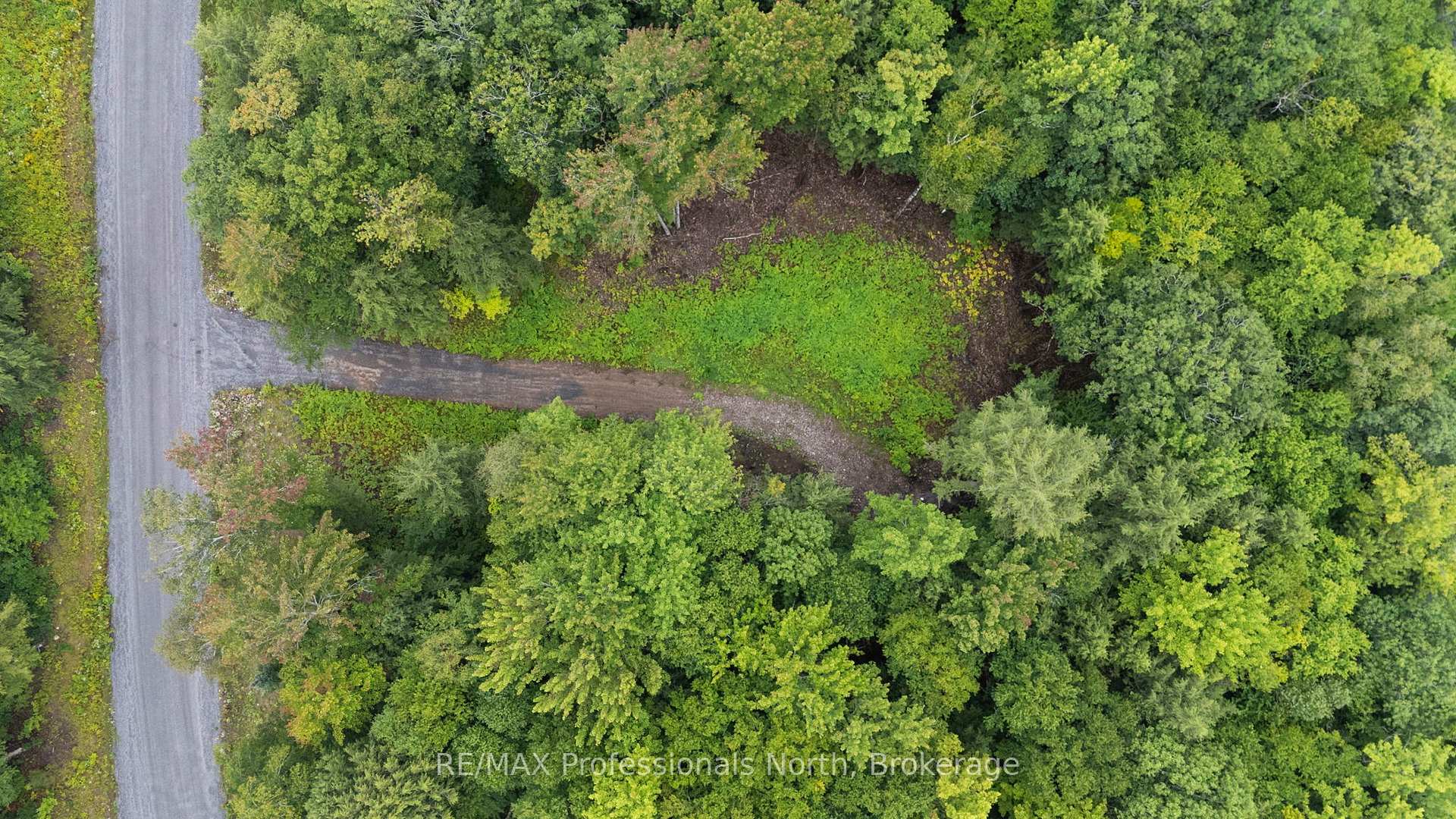 Photo 10 of 1247 Hawk Valley Road, Algonquin Highlands, Stanhope — HOMEH