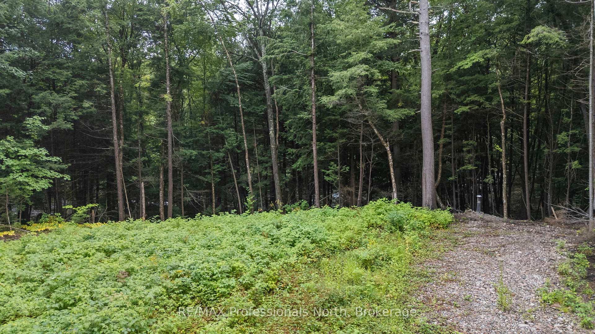 Photo 11 of 1247 Hawk Valley Road, Algonquin Highlands, Stanhope — HOMEH