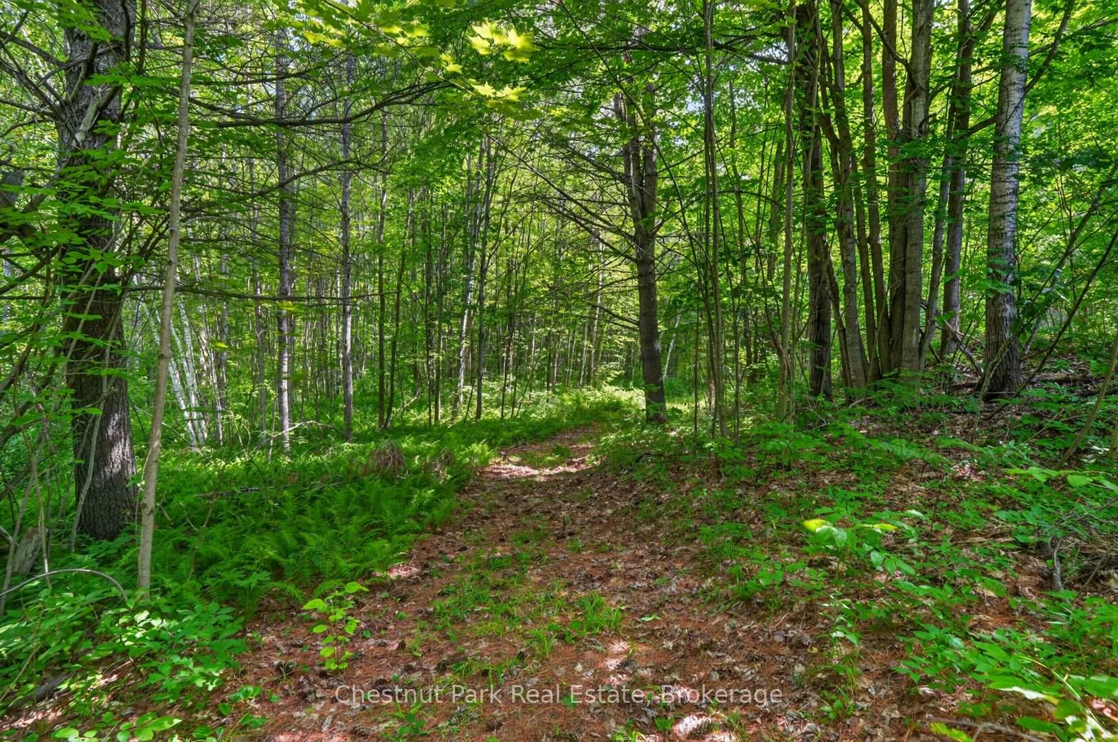 Photo 67 of 1304 11 Highway N, Gravenhurst, Morrison — HOMEH