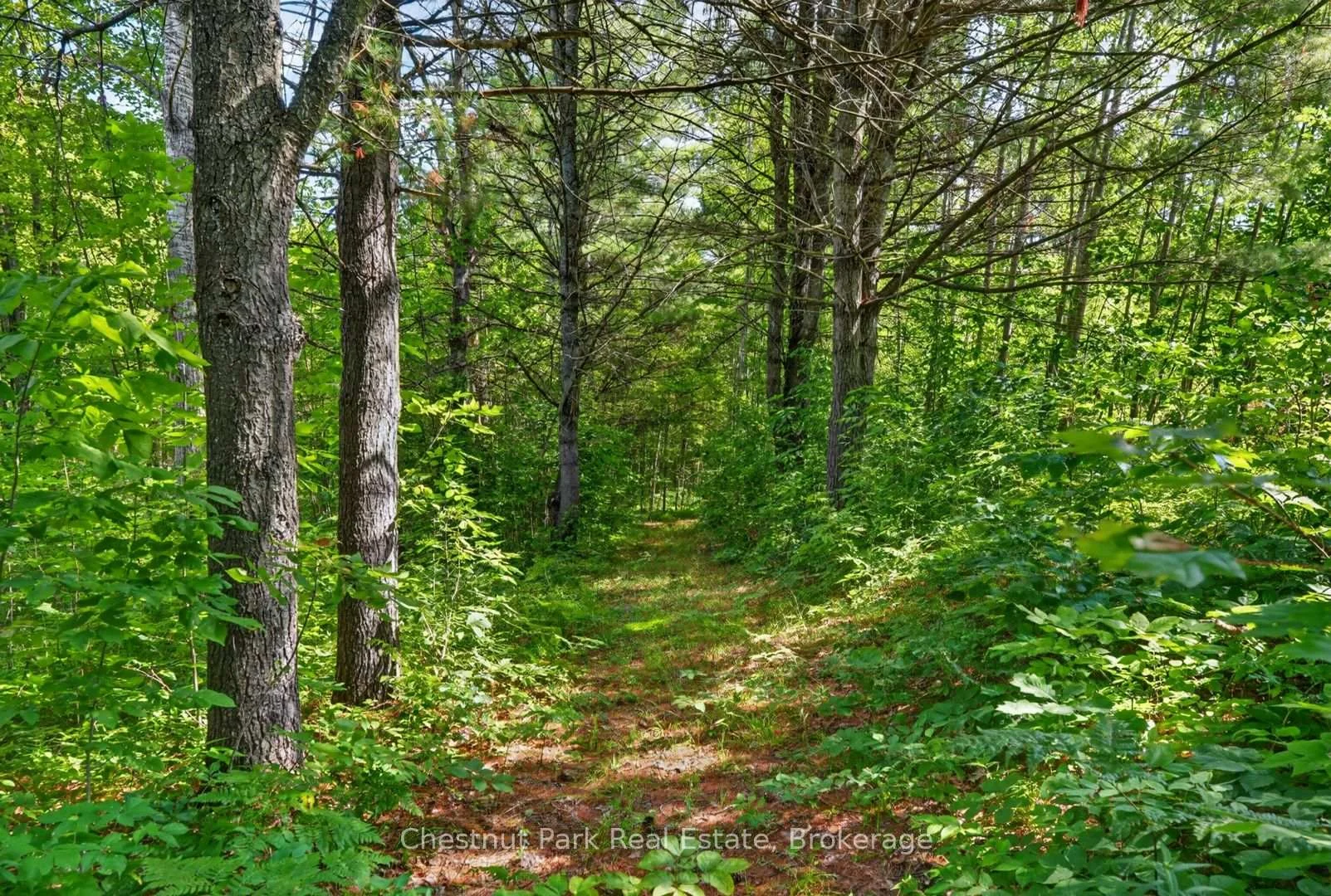 Photo 79 of 1304 11 Highway N, Gravenhurst, Morrison — HOMEH