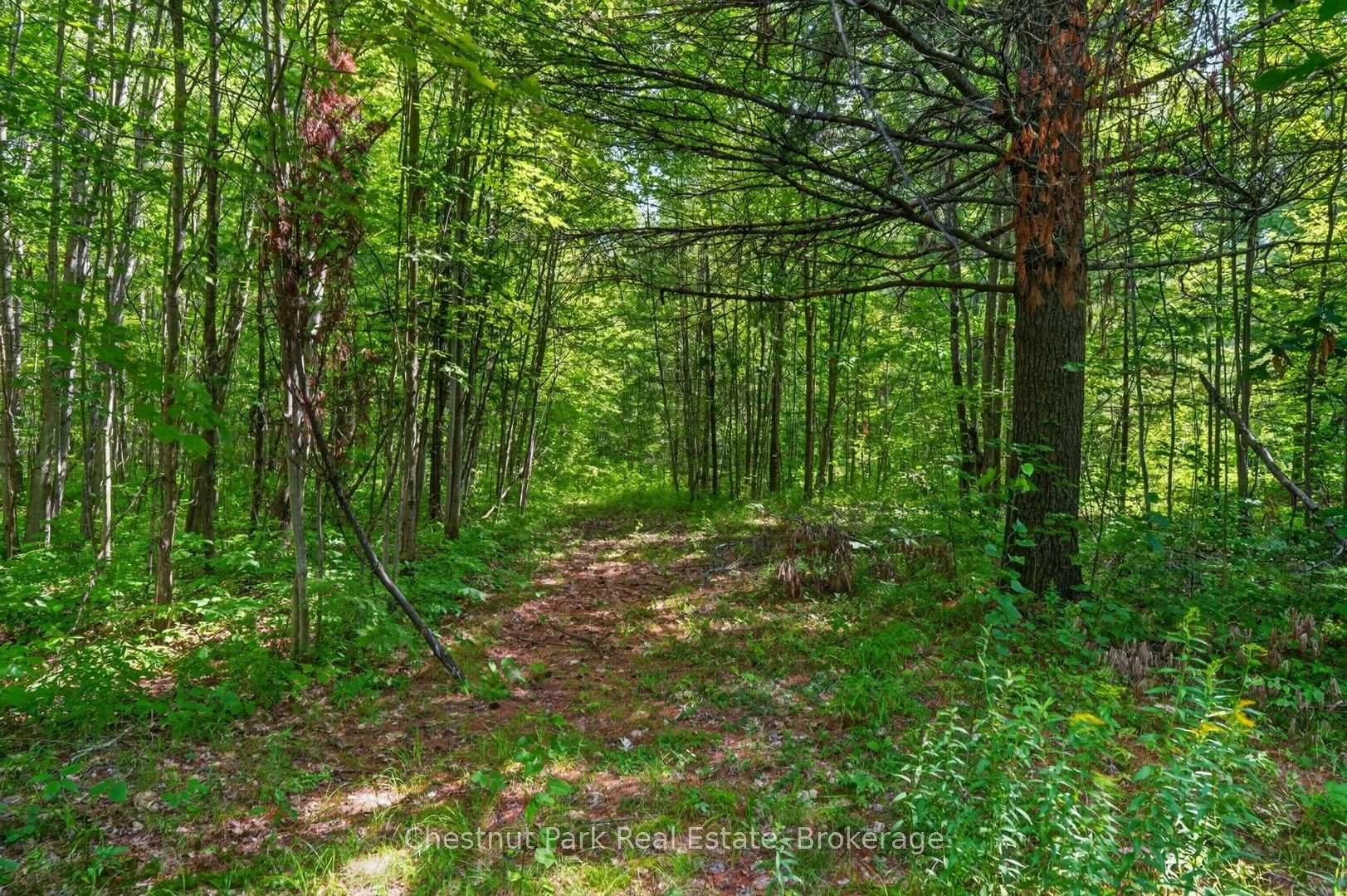 Photo 82 of 1304 11 Highway N, Gravenhurst, Morrison — HOMEH