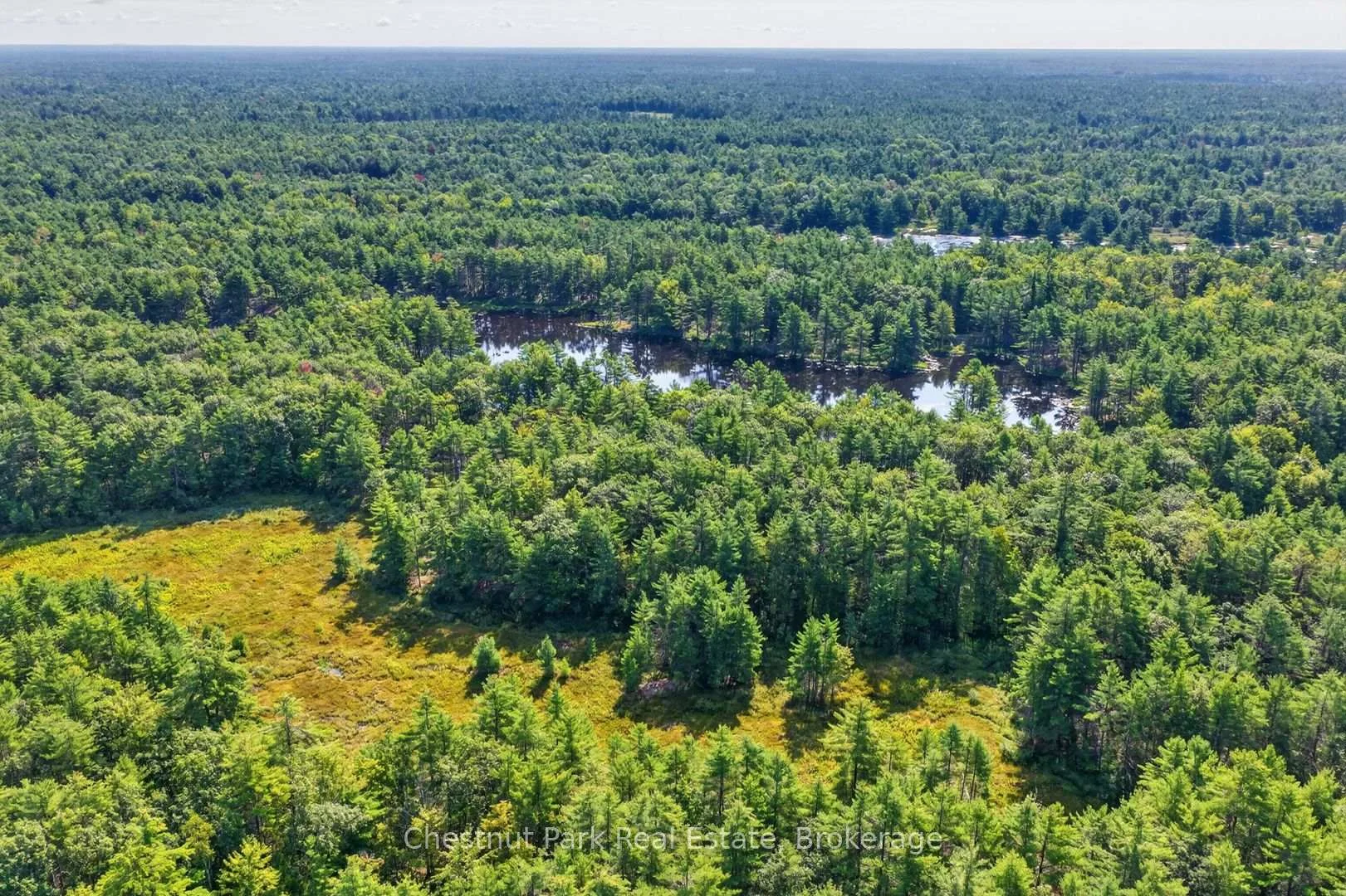 Photo 91 of 1304 11 Highway N, Gravenhurst, Morrison — HOMEH