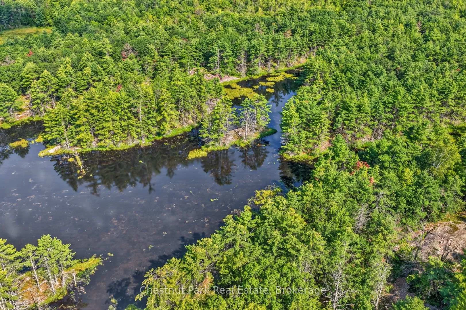 Photo 93 of 1304 11 Highway N, Gravenhurst, Morrison — HOMEH
