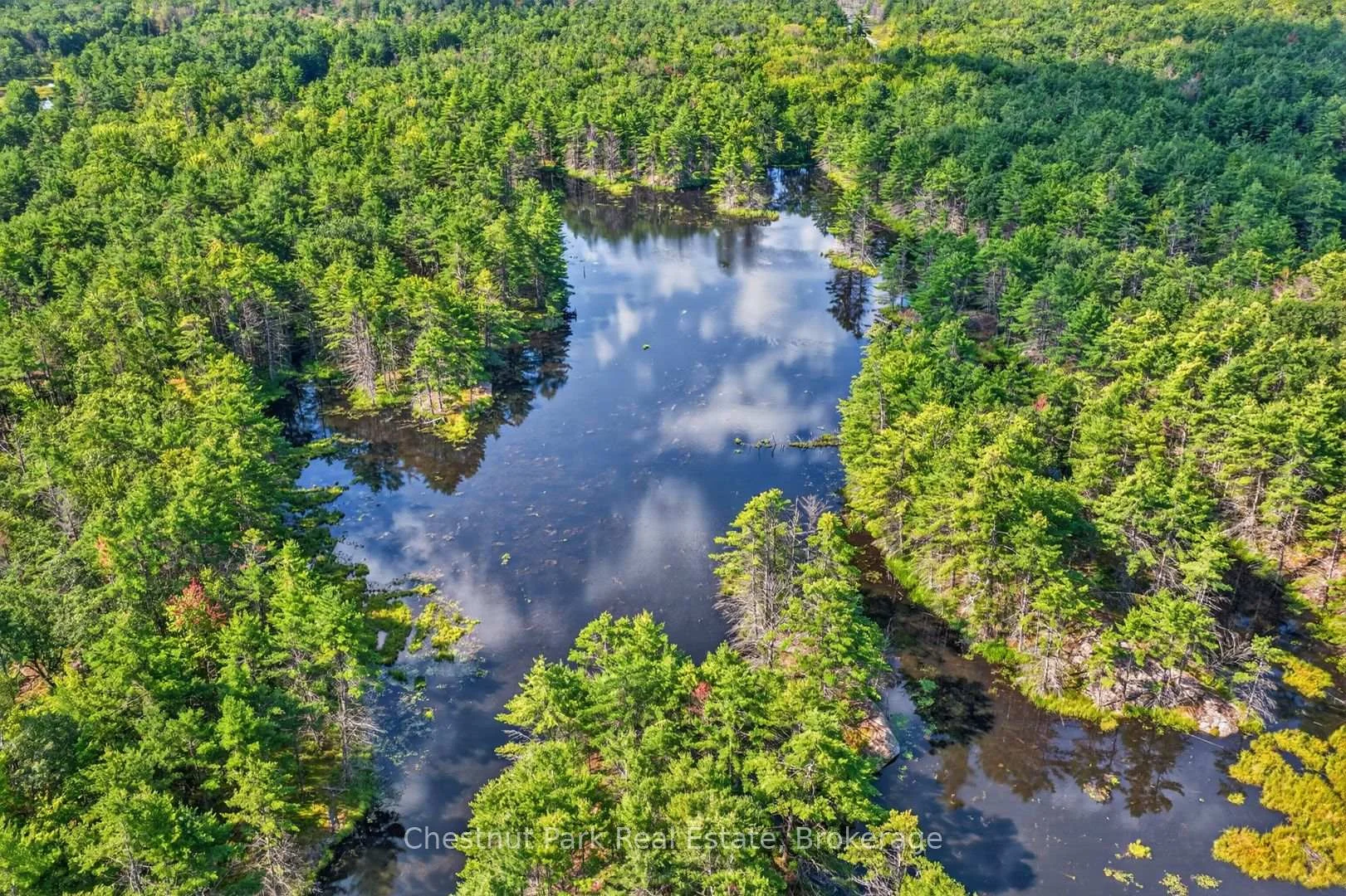 Photo 94 of 1304 11 Highway N, Gravenhurst, Morrison — HOMEH