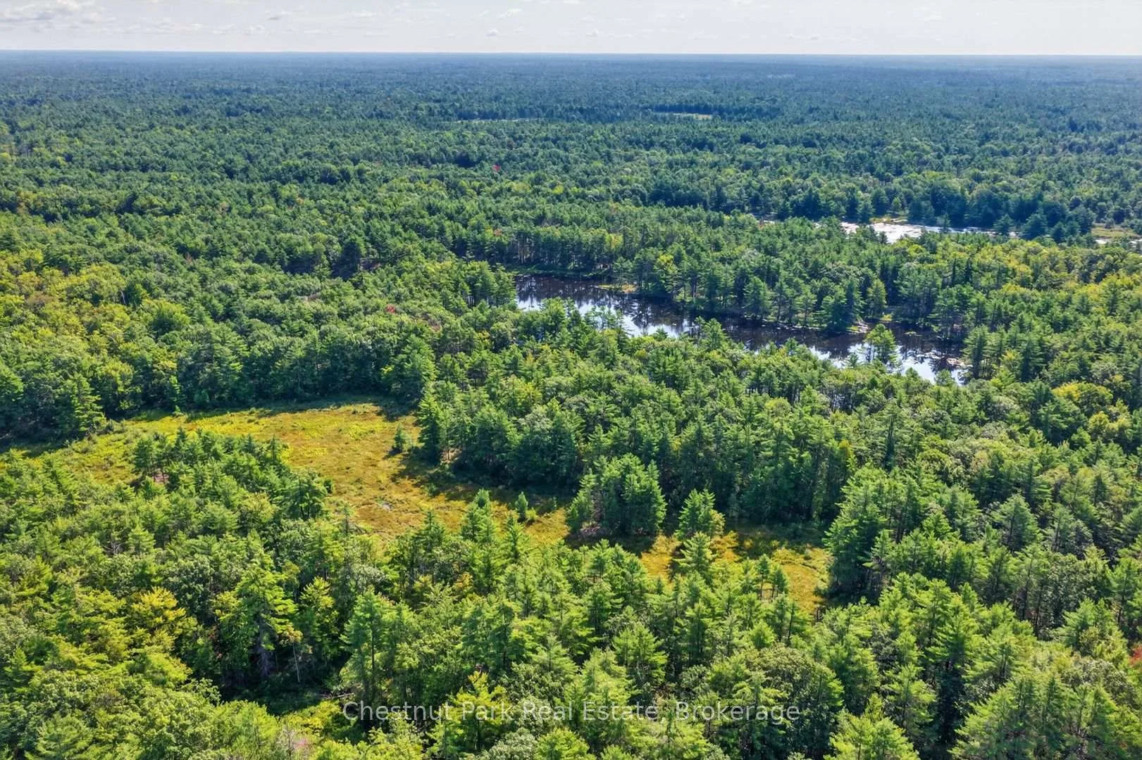 Photo 95 of 1304 11 Highway N, Gravenhurst, Morrison — HOMEH