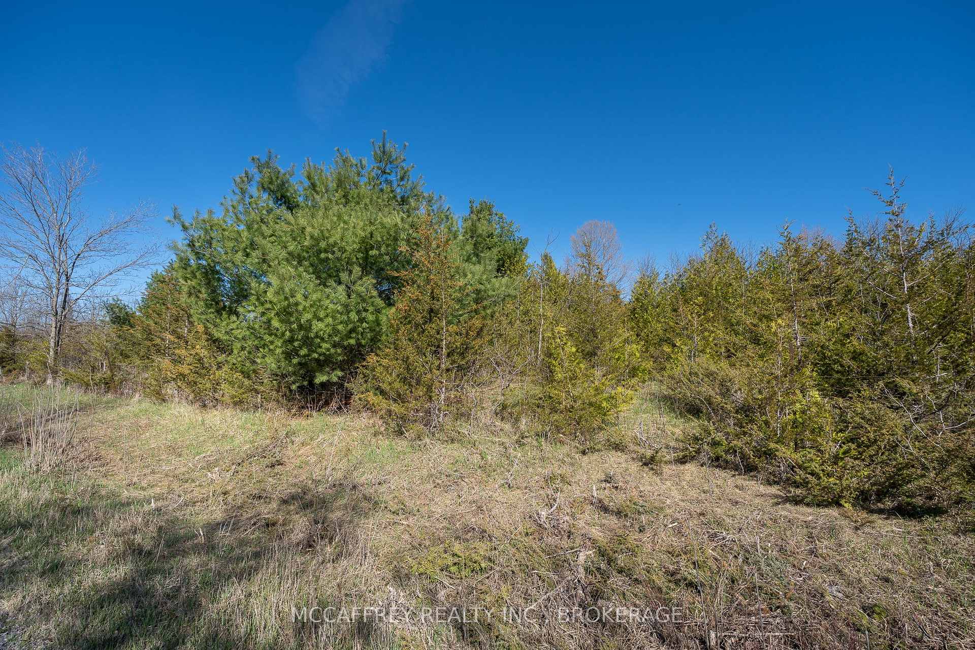 Photo 40 of 00 McCutcheon Road, Stone Mills, Stone Mills — HOMEH