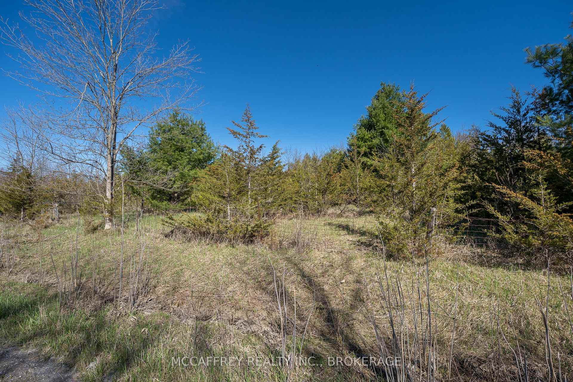 Photo 41 of 00 McCutcheon Road, Stone Mills, Stone Mills — HOMEH