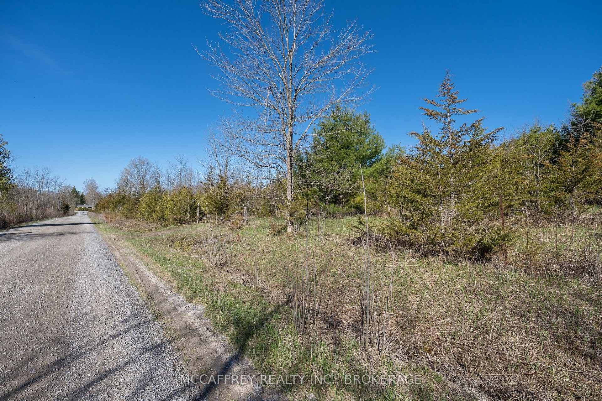 Photo 42 of 00 McCutcheon Road, Stone Mills, Stone Mills — HOMEH
