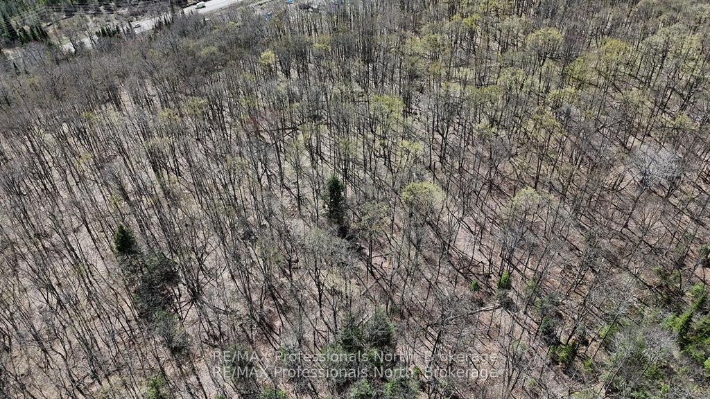 Photo 6 of Osprey Road, Minden Hills, Minden — HOMEH