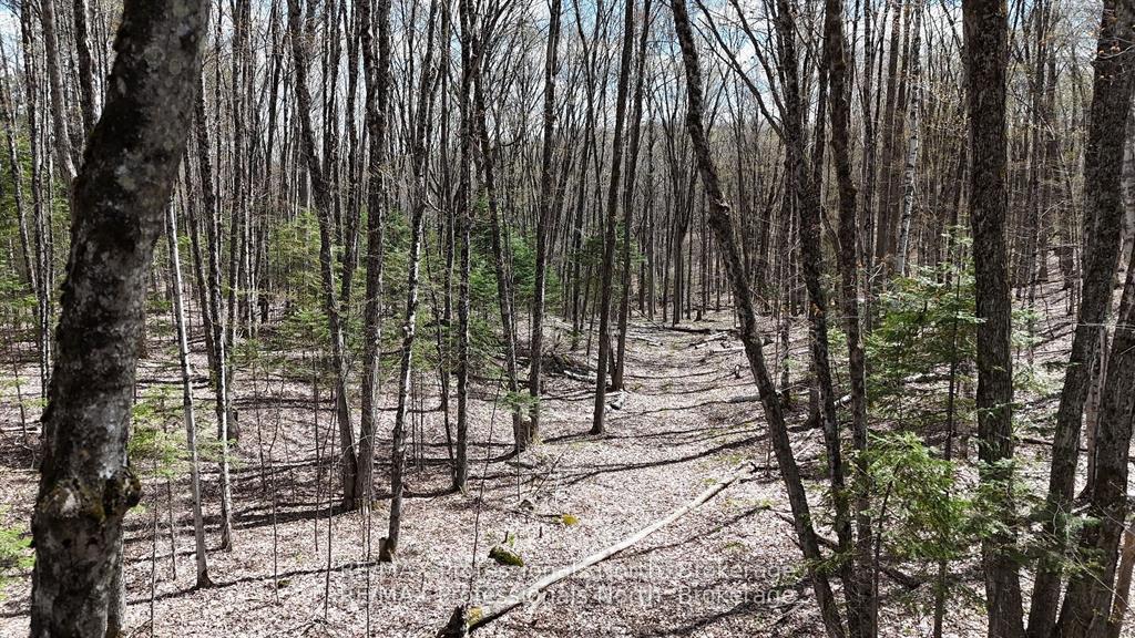 Photo 9 of Osprey Road, Minden Hills, Minden — HOMEH